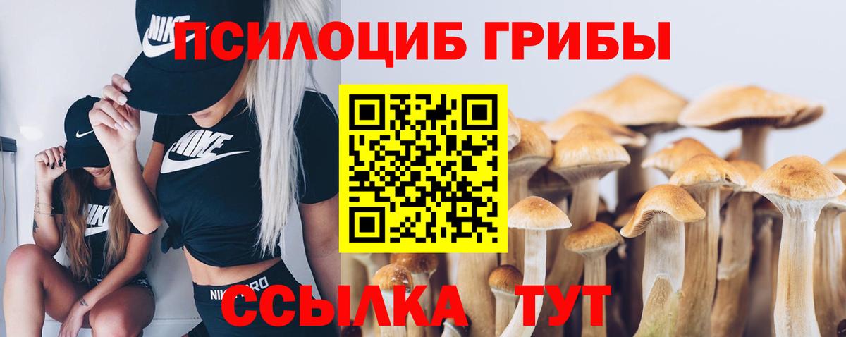 Псилоцибиновые грибы ЛСД  Вход с VPN  Богородск  Галлюциногенные грибы прущие грибы 